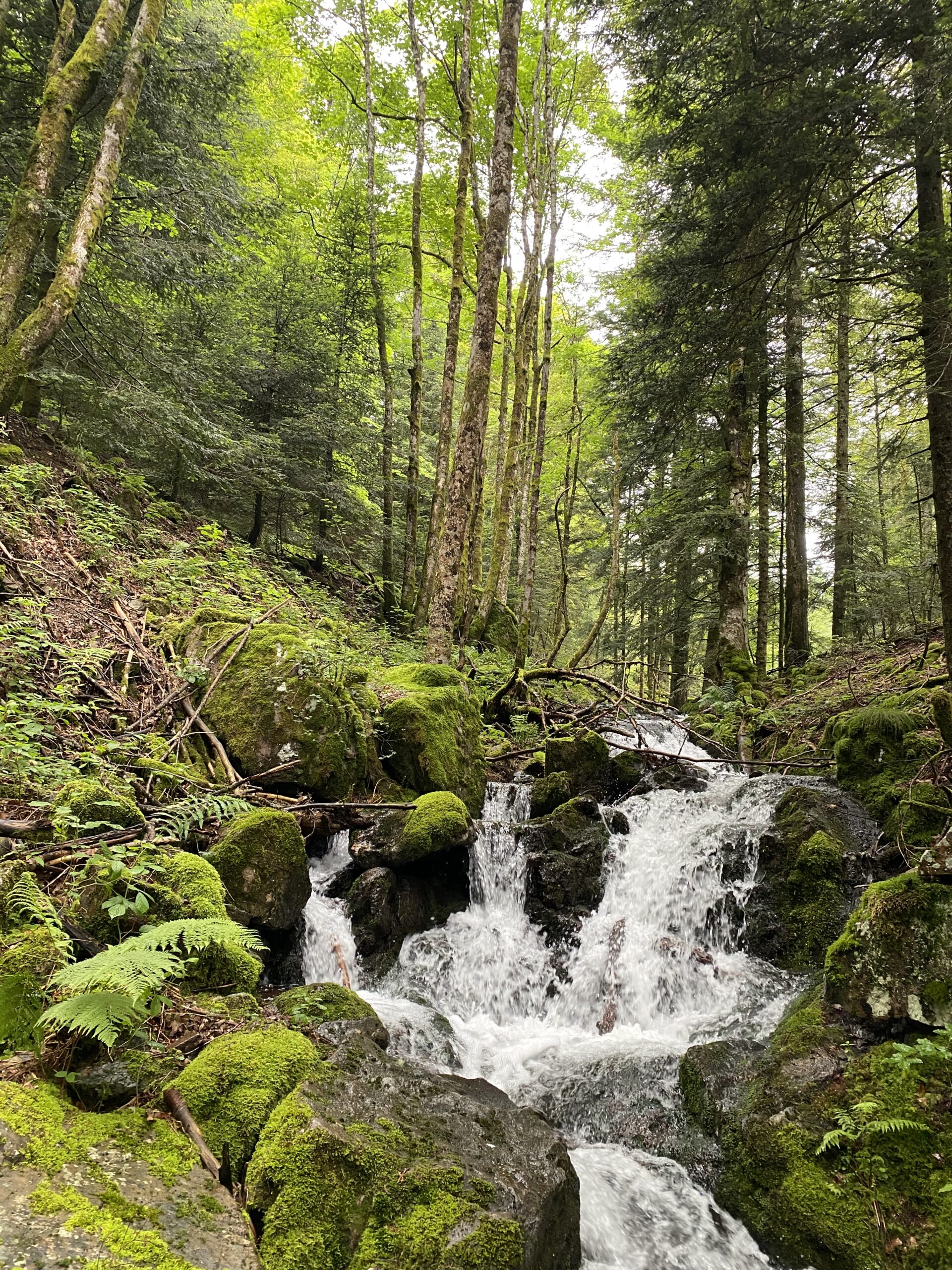 11 GHT En R gion Grand Est D partement D Information M dicale 11 GHT En R gion Grand Est D partement D Information M dicale